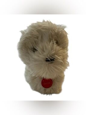 American Girl Coconut Dog